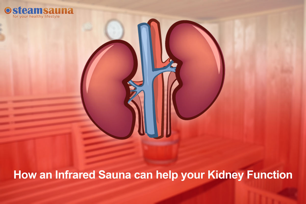 How an Infrared Sauna can help your Kidney Function